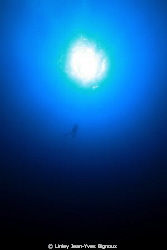 35 m dive just of Balaclava ,going up after a wreck dive ... by Linley Jean-Yves Bignoux 